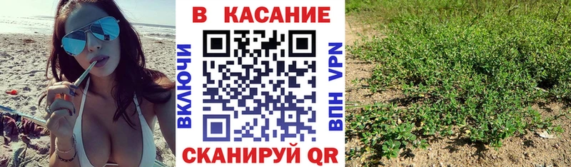 Названия наркотиков Петровск-Забайкальский Каннабис  COCAIN  А ПВП  Псилоцибиновые грибы  ГАШИШ 
