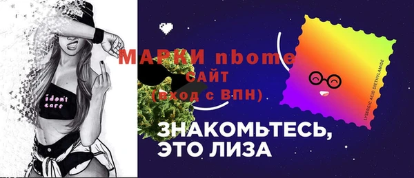 шишки Алзамай