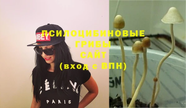 экстази Алексеевка
