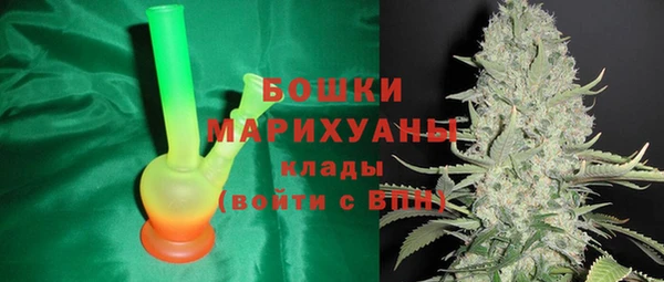 шишки Алзамай