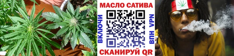 MEGA как войти  что такое   Петровск-Забайкальский  Дистиллят ТГК THC oil 